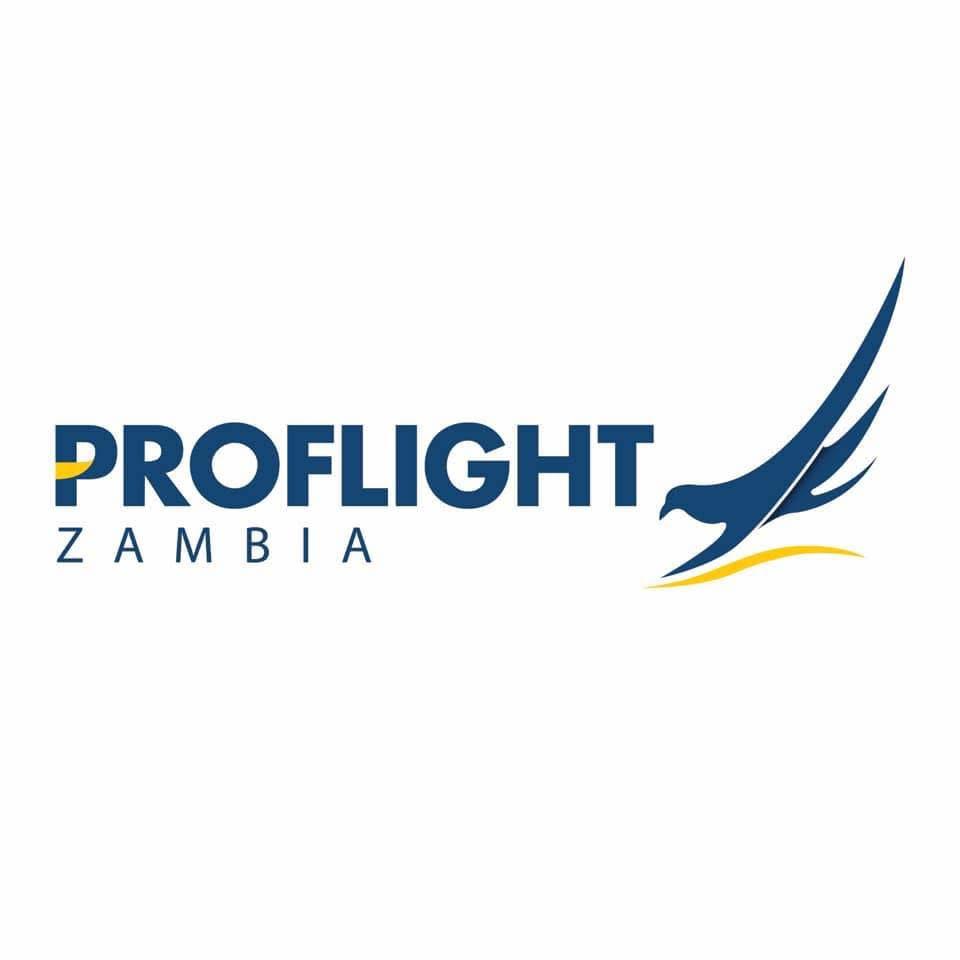 Proflight logo